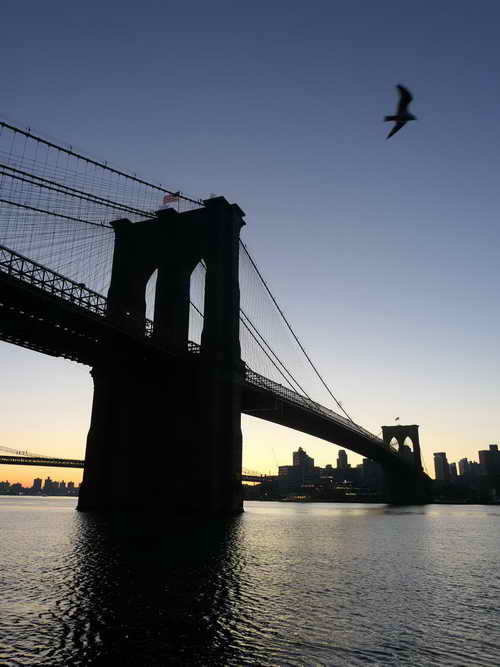 NYC_2020-01-26 06-55-22_P1070374